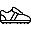 计华李